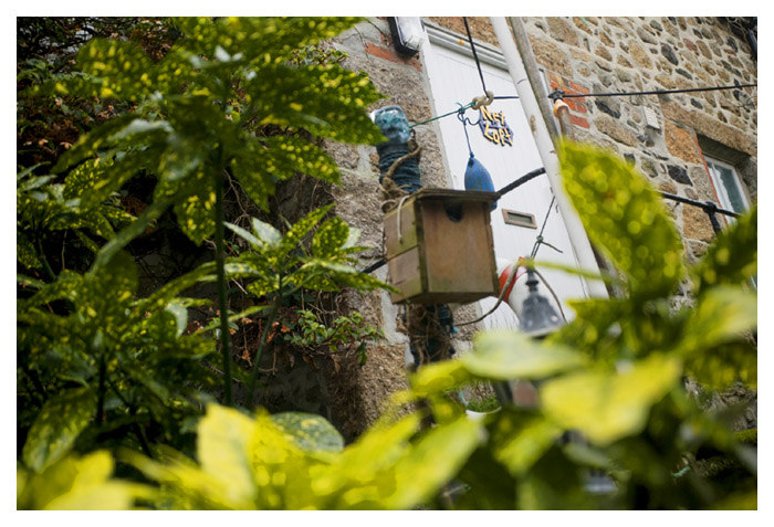 mousehole holiday cottage